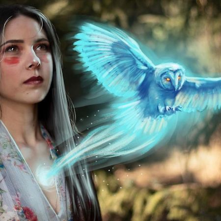 מלון פורט פרנסס The Sleepy Owl מראה חיצוני תמונה